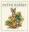 Harper Collins Focus The Classic Tale of Peter Rabbit Oversized Padded Board Book (The Revised Edition)