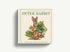 Harper Collins Focus The Classic Tale of Peter Rabbit Oversized Padded Board Book (The Revised Edition)