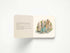 Harper Collins Focus The Classic Tale of Peter Rabbit Oversized Padded Board Book (The Revised Edition)