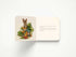 Harper Collins Focus The Classic Tale of Peter Rabbit Oversized Padded Board Book (The Revised Edition)