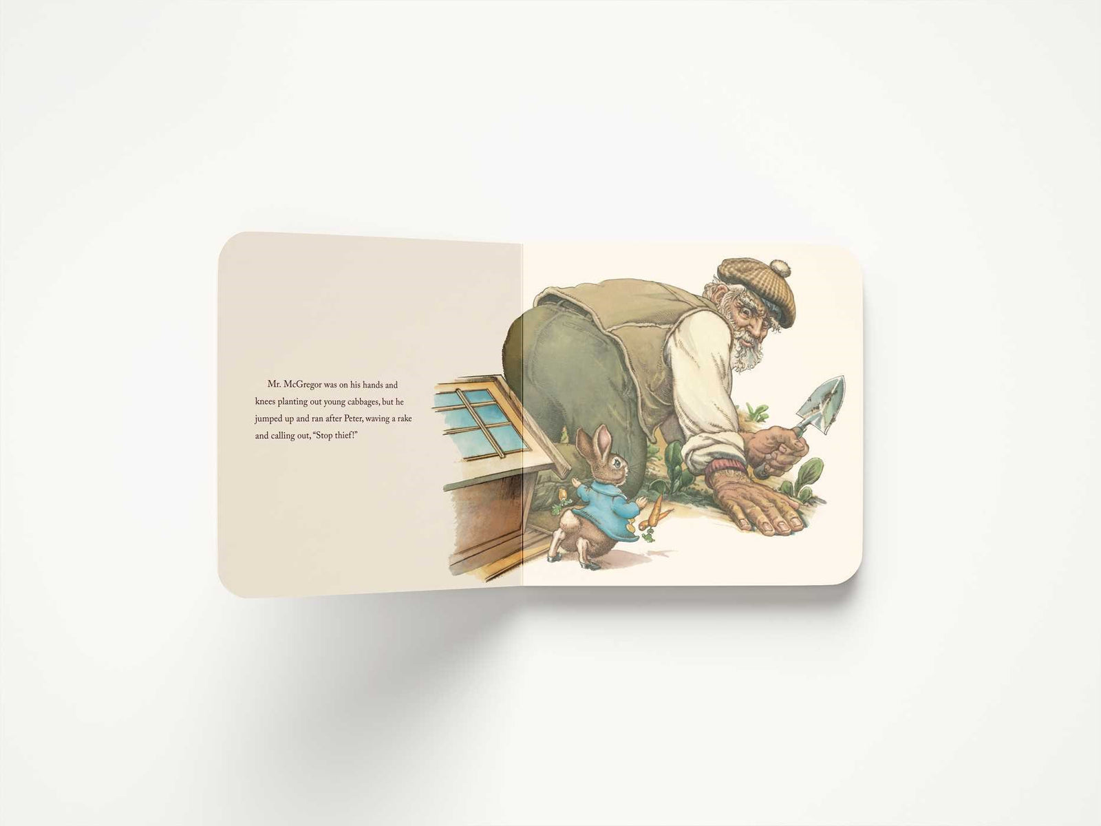Harper Collins Focus The Classic Tale of Peter Rabbit Oversized Padded Board Book (The Revised Edition)