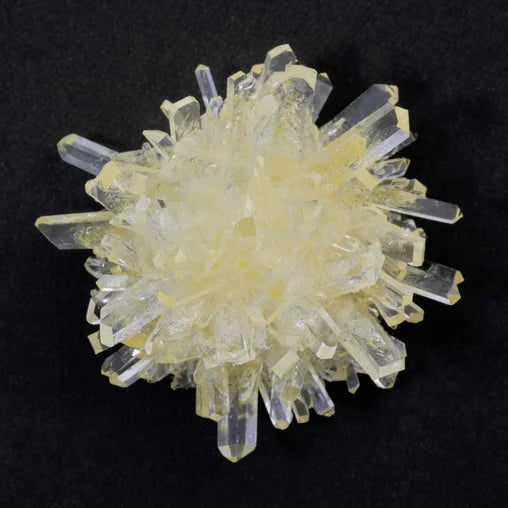 Heebie Jeebies Crystal Grow and Explore