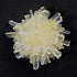 Heebie Jeebies Crystal Grow and Explore