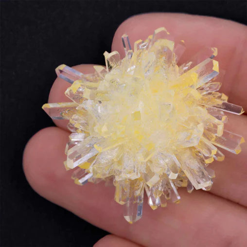 Heebie Jeebies Crystal Grow and Explore