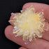 Heebie Jeebies Crystal Grow and Explore