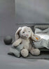Hoppie Rabbit