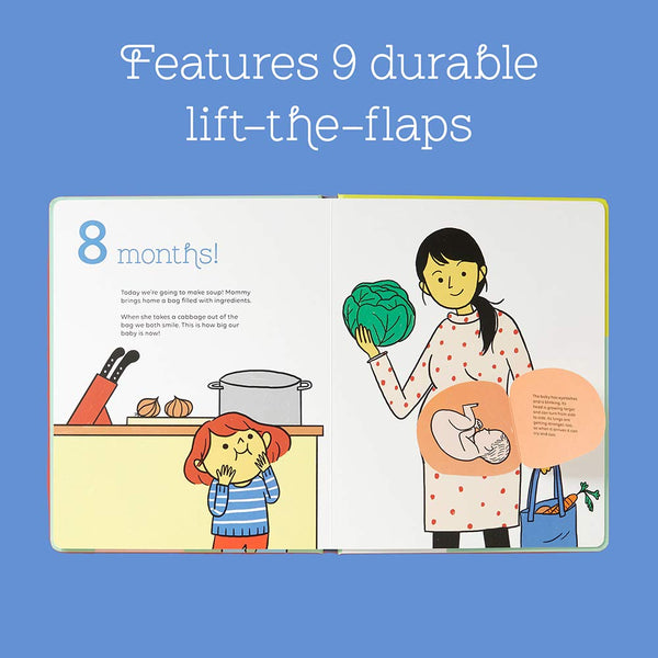 Lit-the-flap: How Big Is Baby?