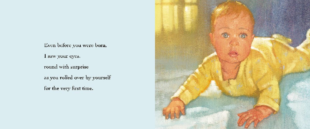 I Loved You Before You Were Born Board Book
