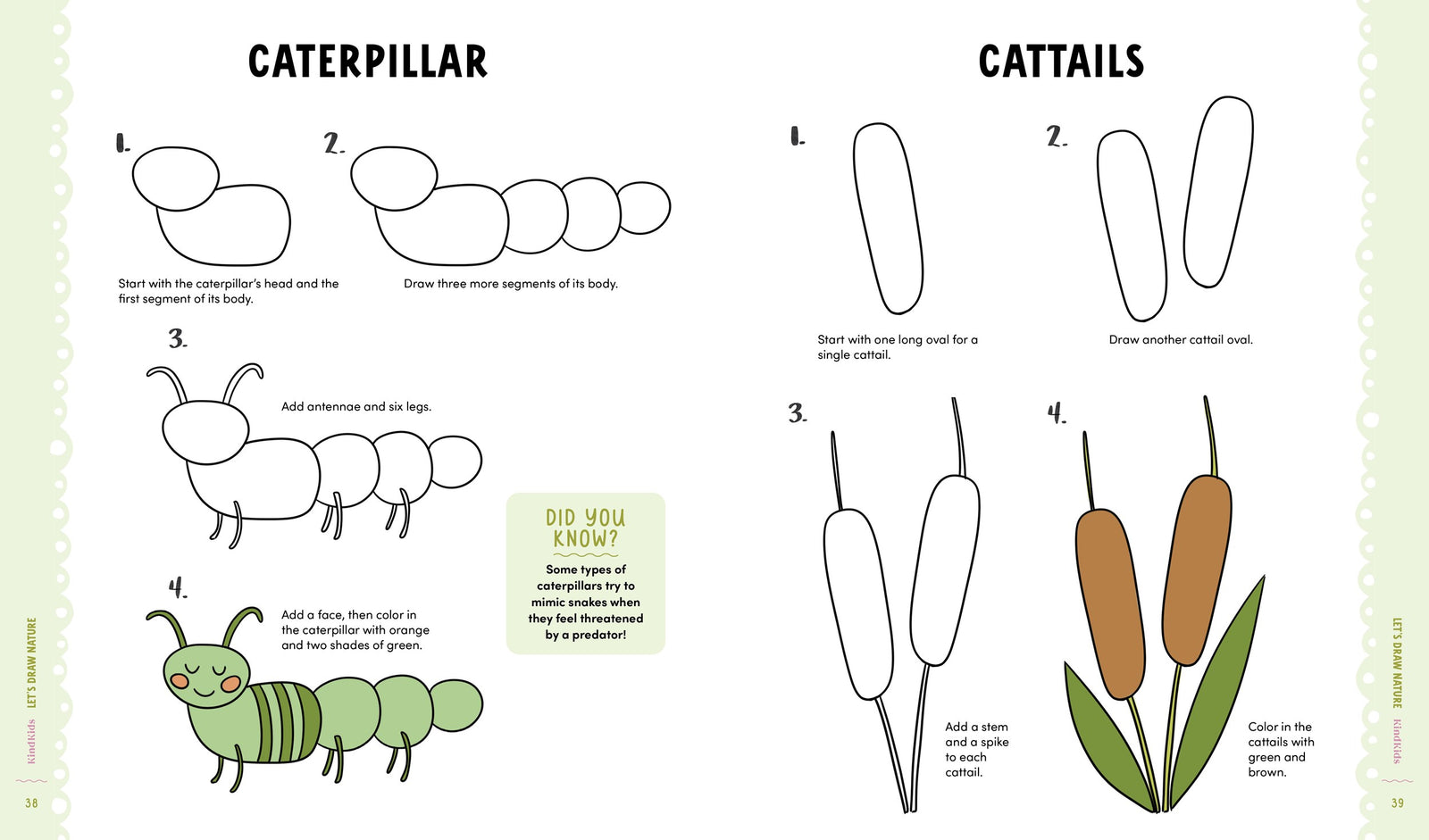 Schiffer Publishing KindKids Let's Draw Nature