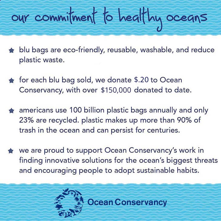 Lemon Slices Reusable Eco-Friendly Blu Bag