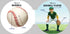 Simon and Schuster Let's Play Baseball