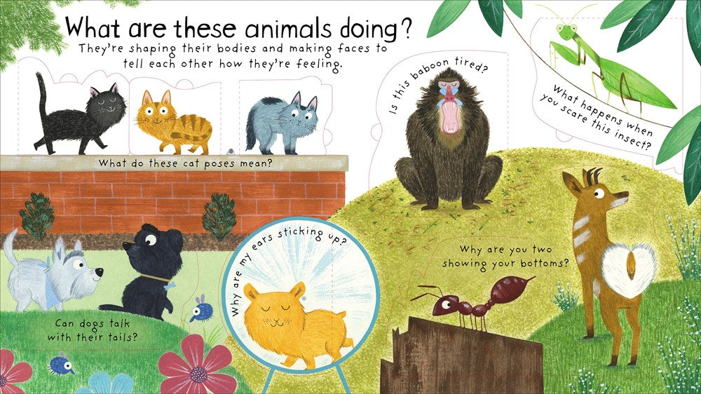 Lift-the-Flap: How Do Animals Talk?