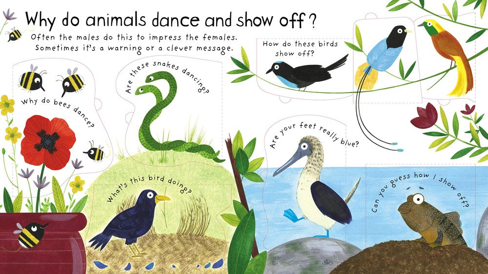 Lift-the-Flap: How Do Animals Talk?