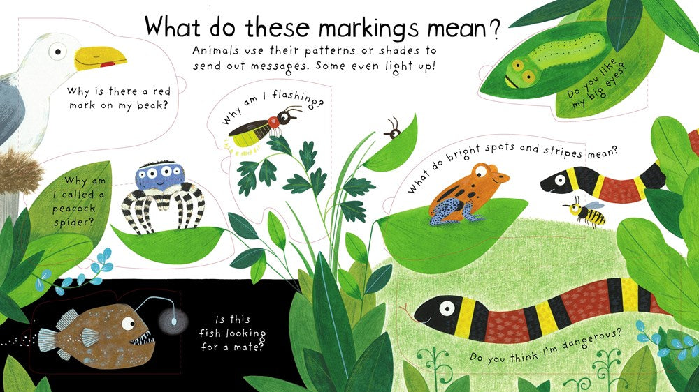 Lift-the-Flap: How Do Animals Talk?