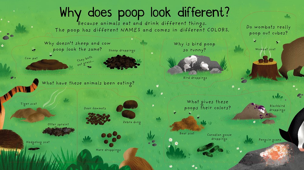 Lift-the-Flap: Where Does Poop Go?