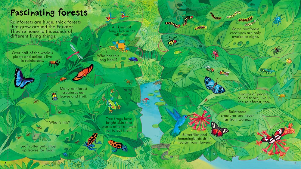Lift-the-Flap Look Inside Our World