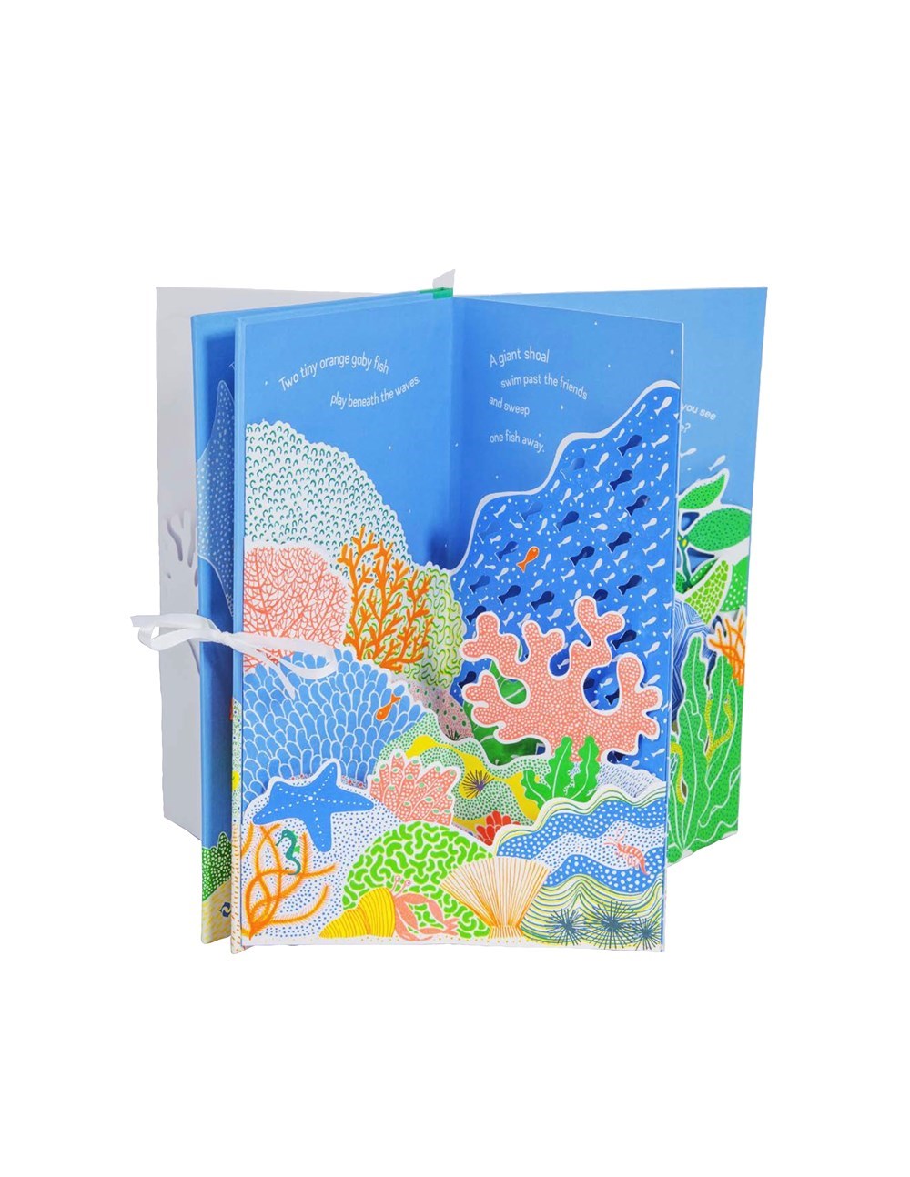 W. W. Norton & Company Little Fish - Pop Up Story