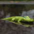 Little Friends Crocodile