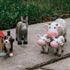 Play World at the Zoo