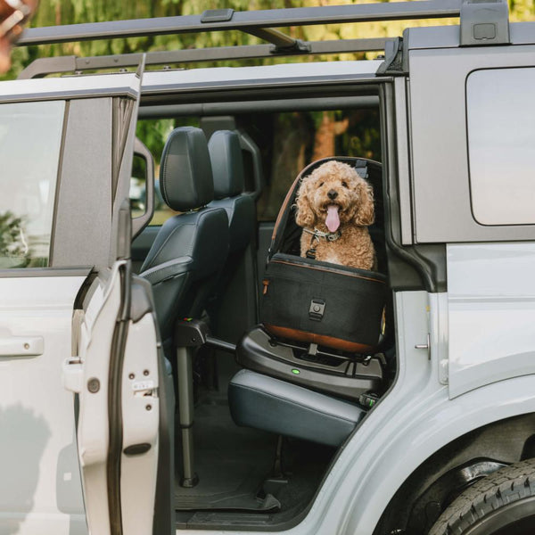 Maeve™ Pet Car Seat, Small Flex + Base