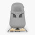 Mira 2-in-1 Bouncer and Seat