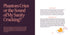Chronicle Books Mom Meditations: Survive the WTF Moments of Motherhood (Without Losing Your Sh*t)