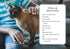 Oh. It's You. : Love Poems by Cats