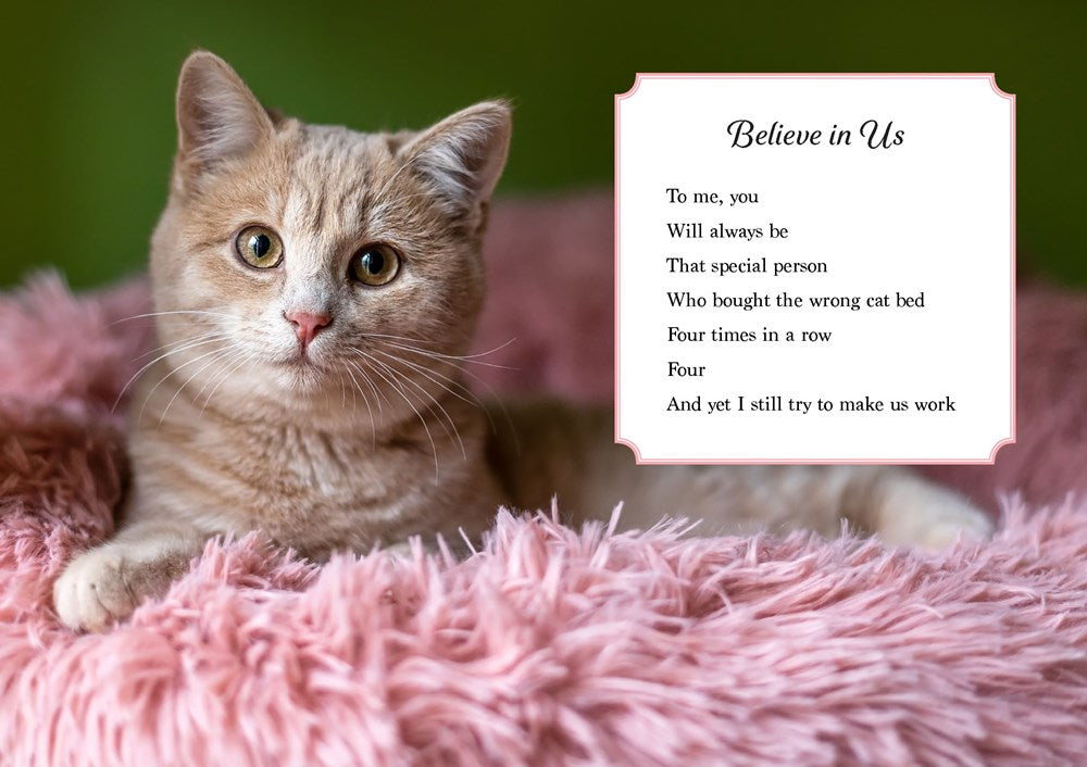 Oh. It's You. : Love Poems by Cats