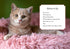 Oh. It's You. : Love Poems by Cats