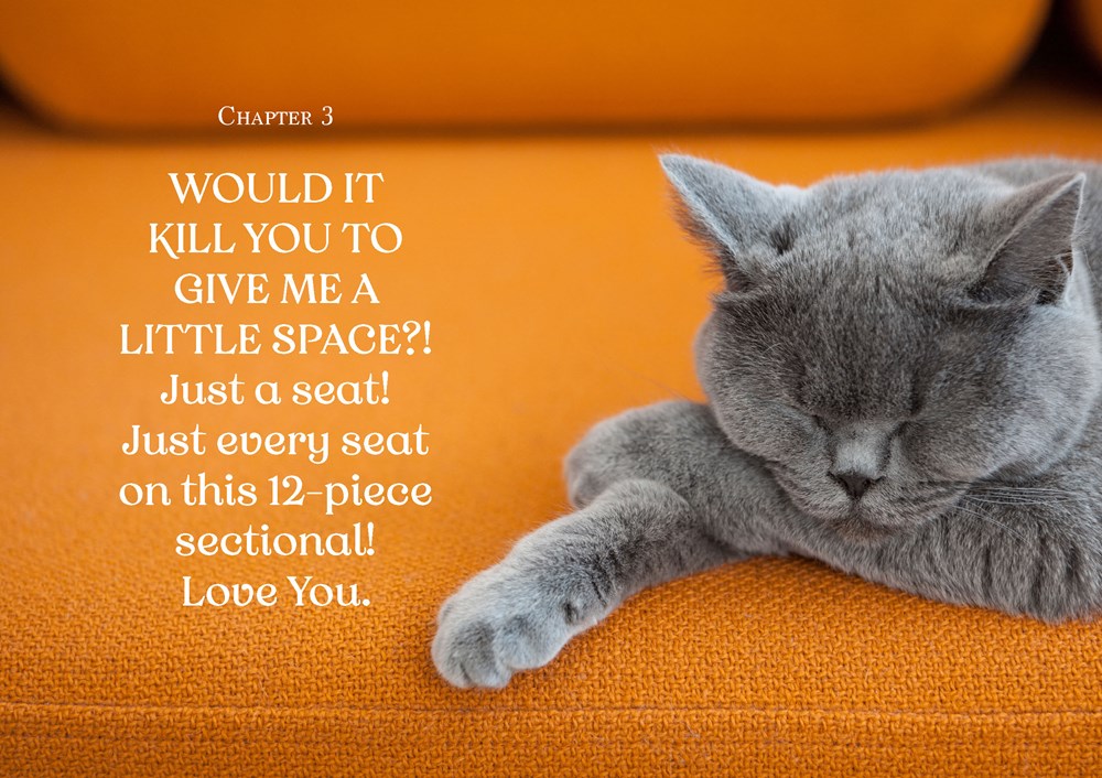 Oh. It's You. : Love Poems by Cats