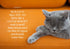 Oh. It's You. : Love Poems by Cats