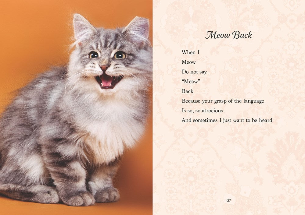Oh. It's You. : Love Poems by Cats