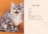 Oh. It's You. : Love Poems by Cats