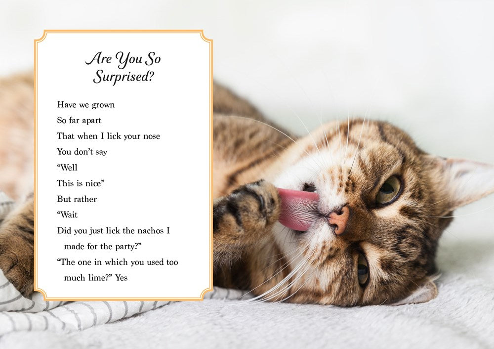Oh. It's You. : Love Poems by Cats