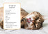 Oh. It's You. : Love Poems by Cats