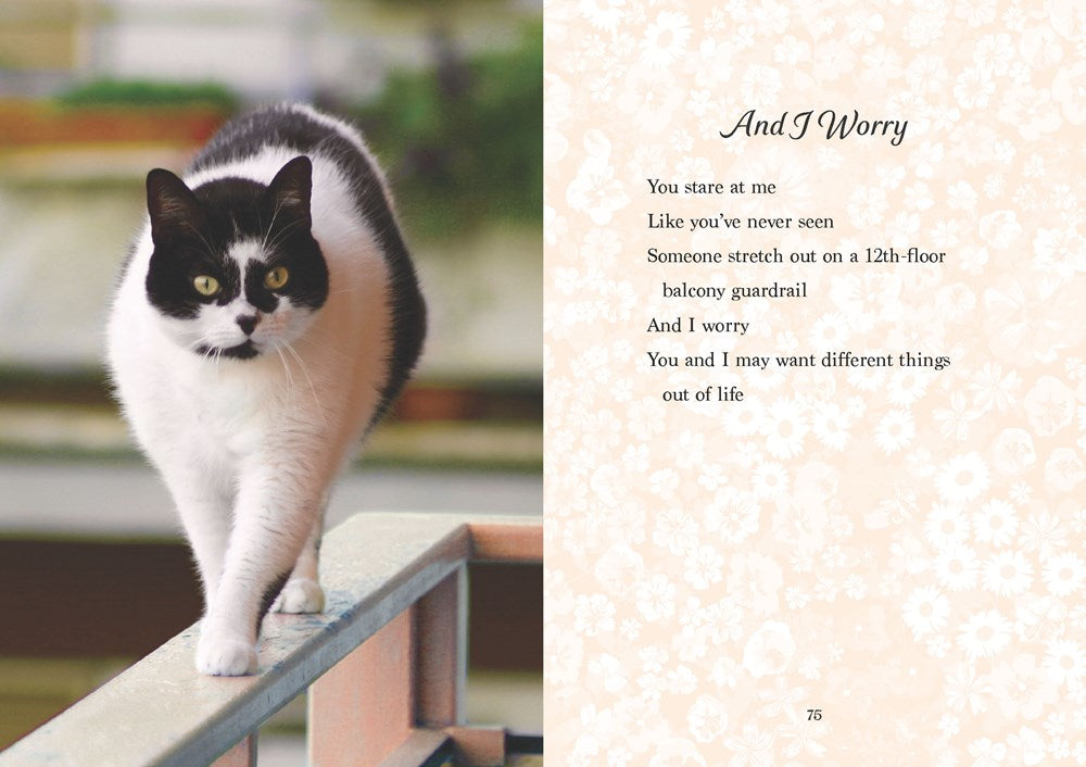 Oh. It's You. : Love Poems by Cats