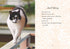 Oh. It's You. : Love Poems by Cats