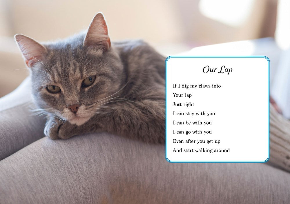 Oh. It's You. : Love Poems by Cats