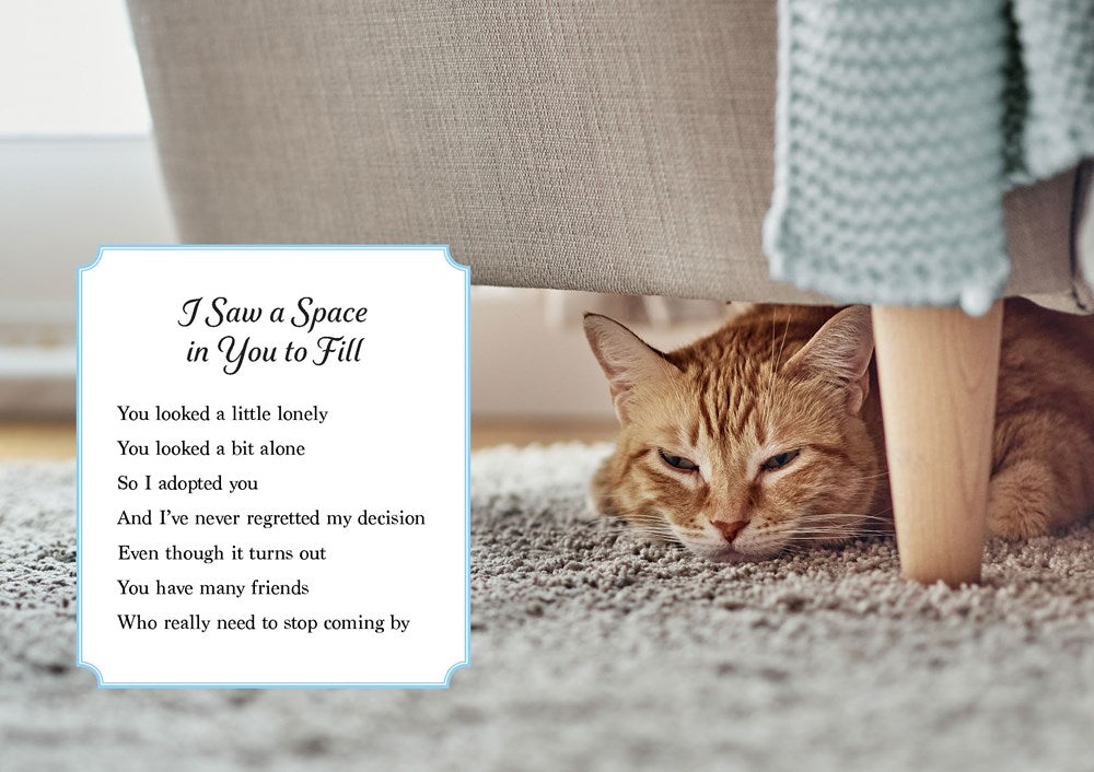 Oh. It's You. : Love Poems by Cats