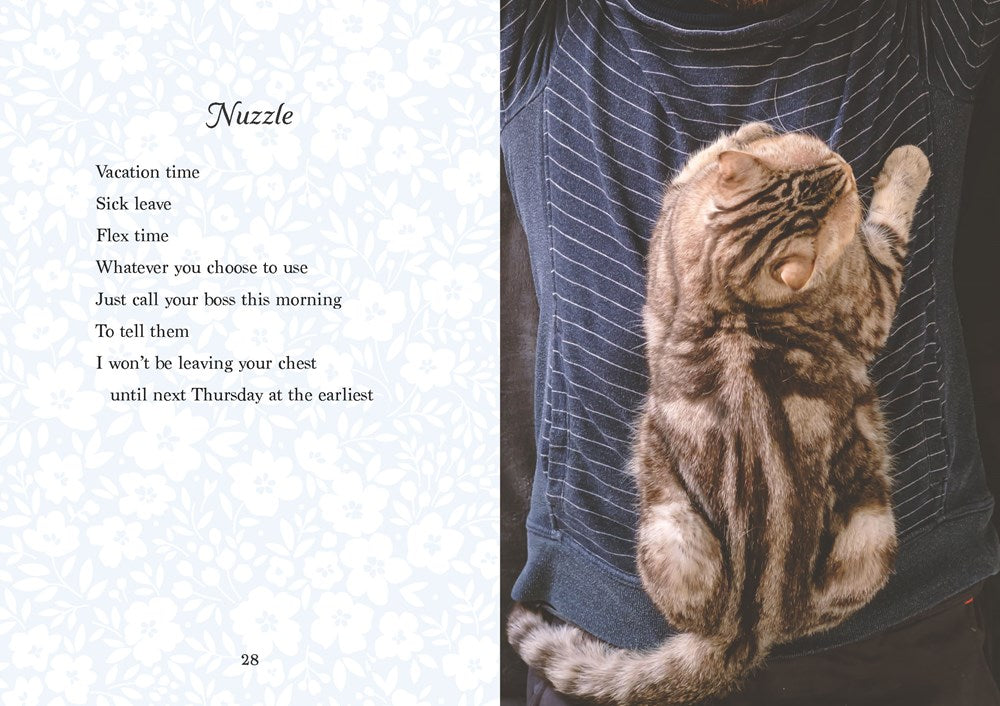 Oh. It's You. : Love Poems by Cats