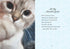 Oh. It's You. : Love Poems by Cats