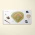 Paige Tate & Co Our Big Book of Sports (Board Book)
