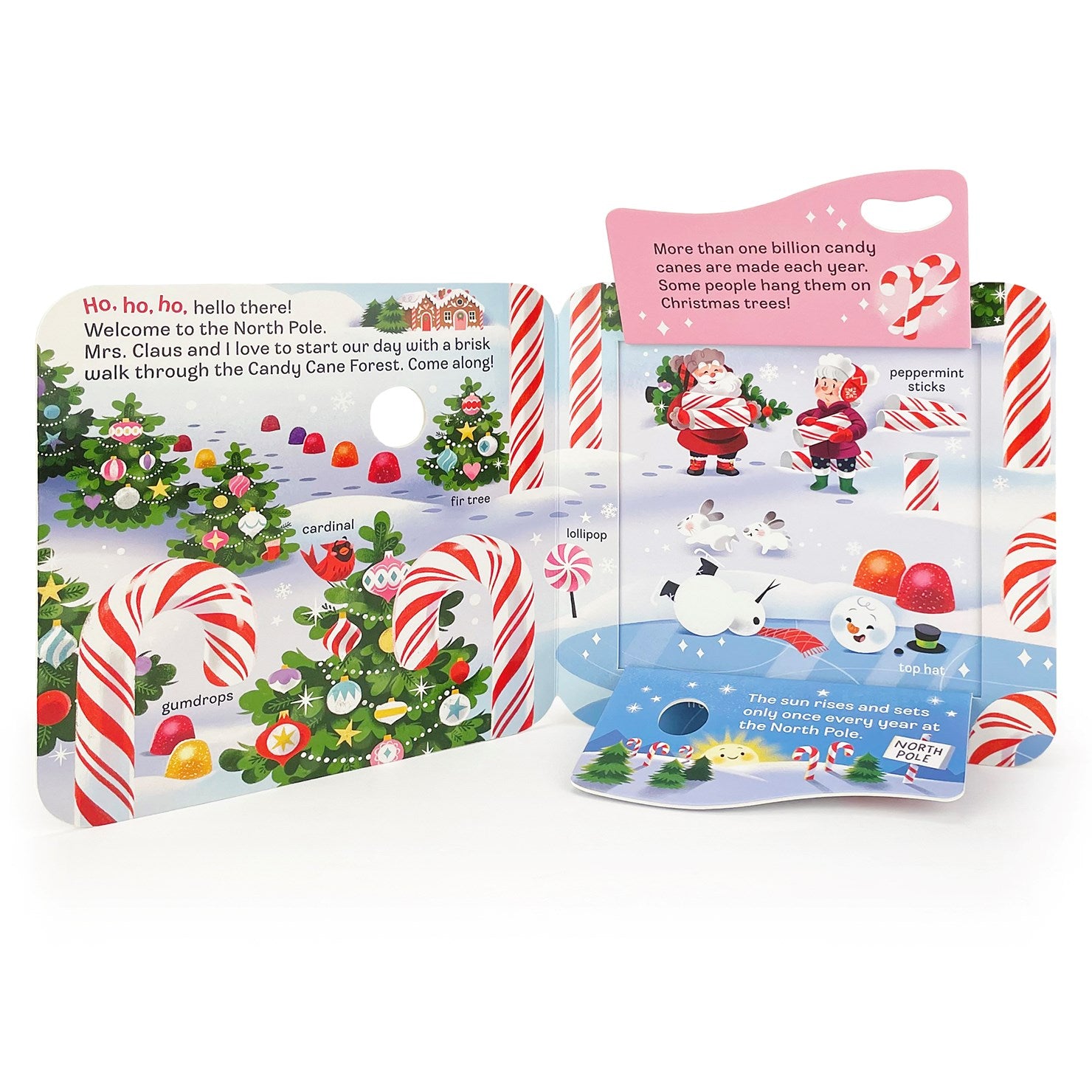 Jolly Peek-a-Flap Book