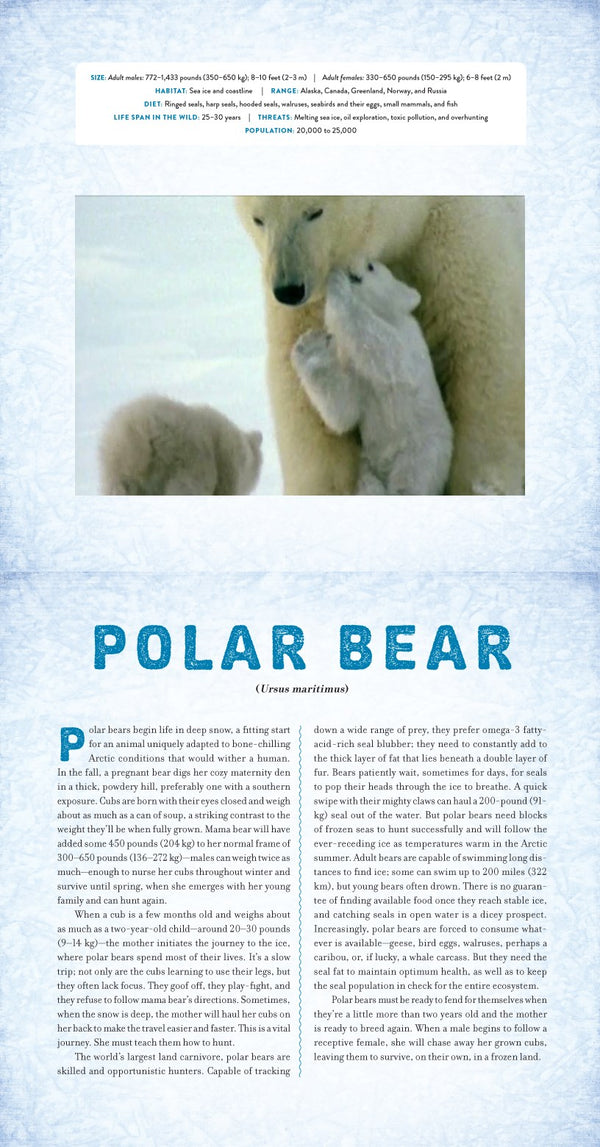Polar : A Photicular Book