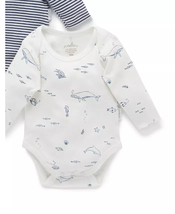 Purebaby 2 Pack Long Sleeve Bodysuit, Nautical