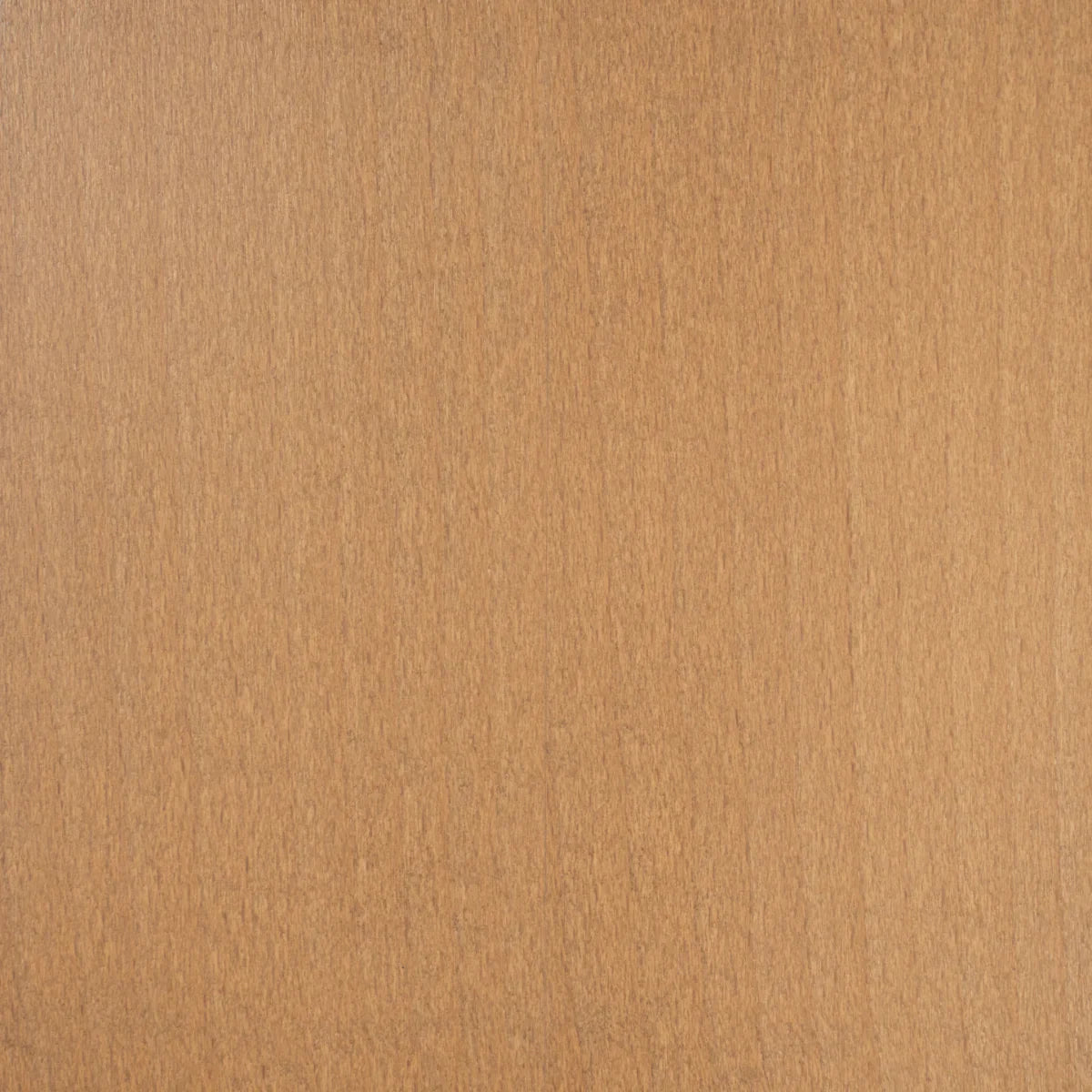 Romina Cleopatra Hutch, 7018