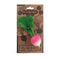Oli & Carol Ramona The Radish, Toy & Teether