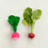Oli & Carol Ramona The Radish, Toy & Teether