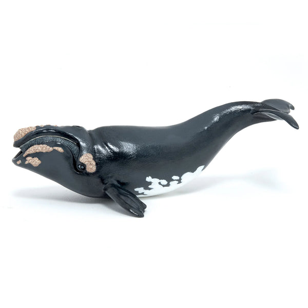 Figurine - Right Whale