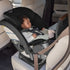 Romer Nexa All-in-One Car Seat – Peppercorn
